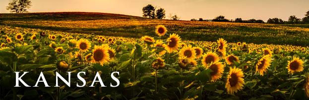 kansas-header